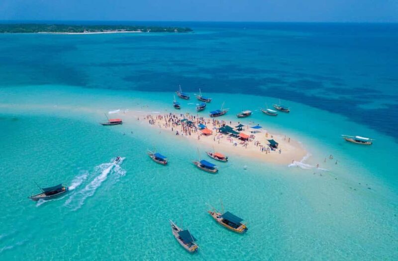 ZANZIBAR:Safari blue pivate boat and Sea turtle sanctuary - Authentic Experiences and What Makes It Special