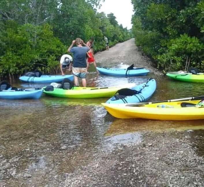 ZANZIBAR:Spice Farm and Kayak Tour in Mangrove Forest - Zanzibar: Spice Farm and Kayak Tour in Mangrove Forest