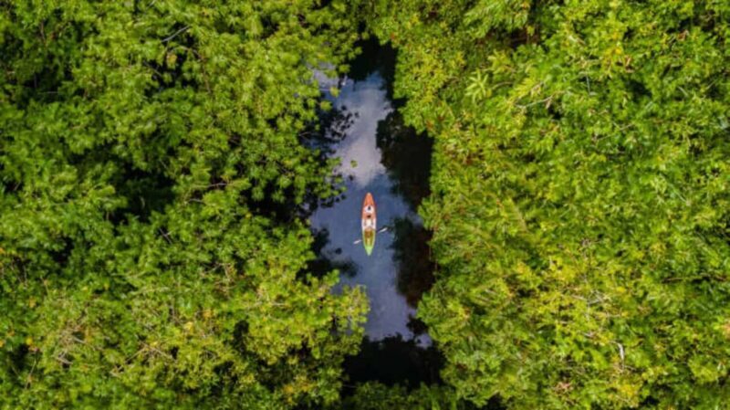 ZANZIBAR:Spice Farm and Kayak Tour in Mangrove Forest - Is It Worth the Price?