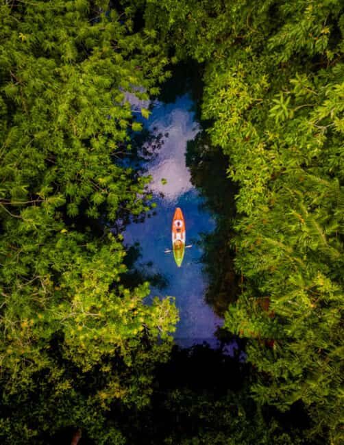 ZANZIBAR:Spice Farm and Kayak Tour in Mangrove Forest - Why This Tour Is Perfect for You