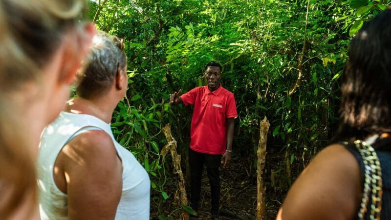 Zanzibar:Spice Farm & Sunset Cruise Submarine adventure Tour - Additional Insights from Reviews