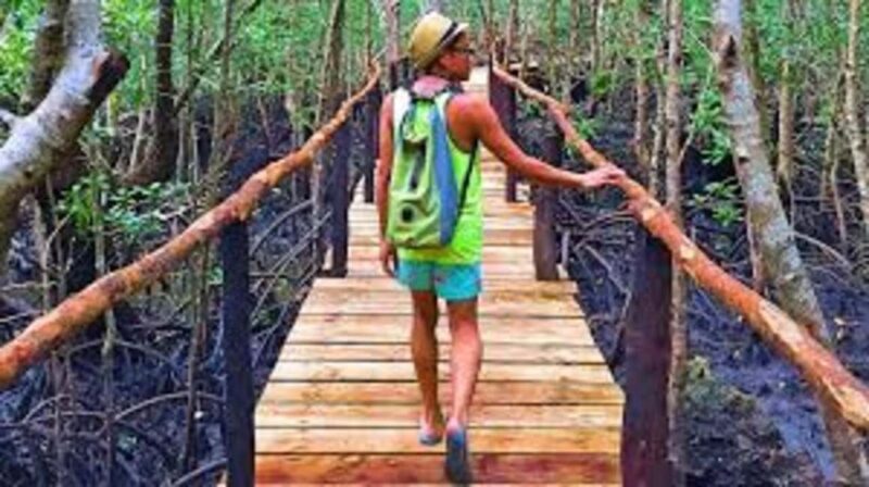 ZANZIBAR:Spice farm,Jozani forest and Kuza Cave - Final Thoughts  