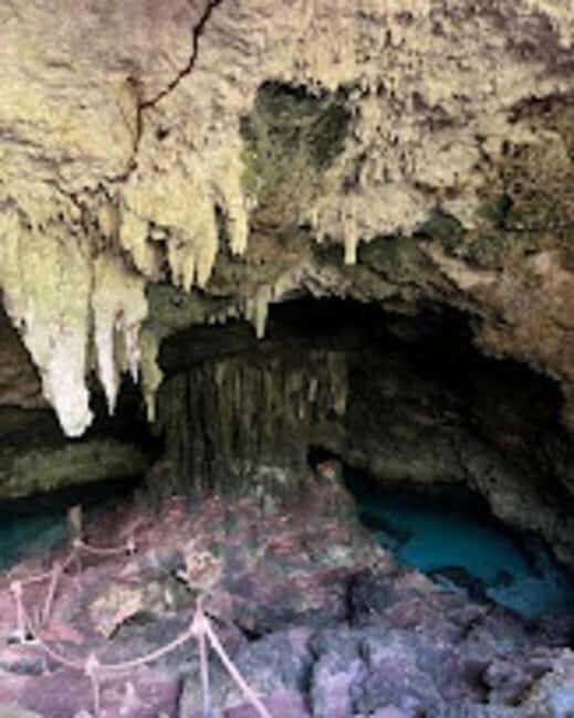 ZANZIBAR:Spice farm,Jozani forest and Kuza Cave - FAQ  