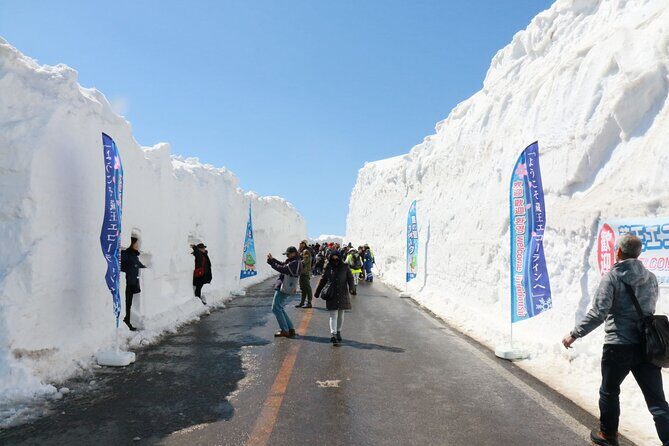 Zao Snow Wall & Sakura with Hanami Lunch Box Bus Tour from Sendai - Who Should Consider This Tour?