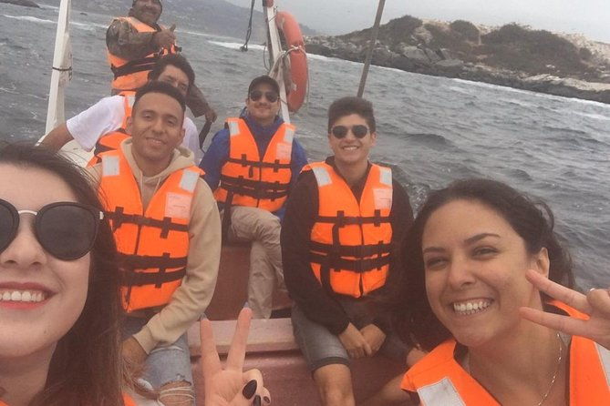 zapallar-and-cachagua-island-experience