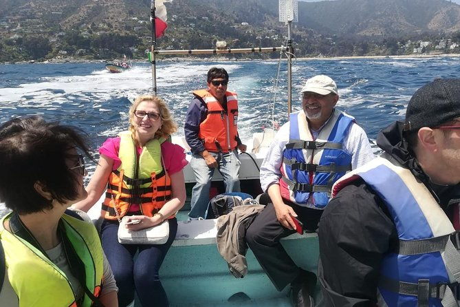 zapallar-and-cachagua-island-experience