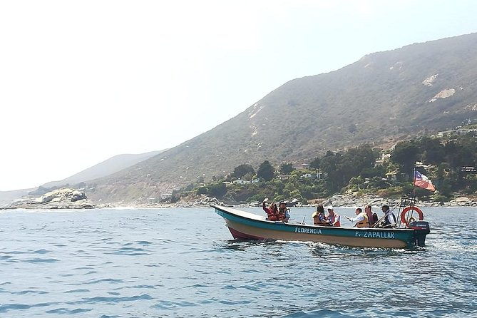 zapallar-and-cachagua-island-experience