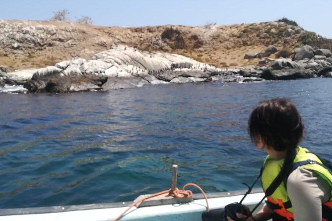 zapallar-and-cachagua-island-experience