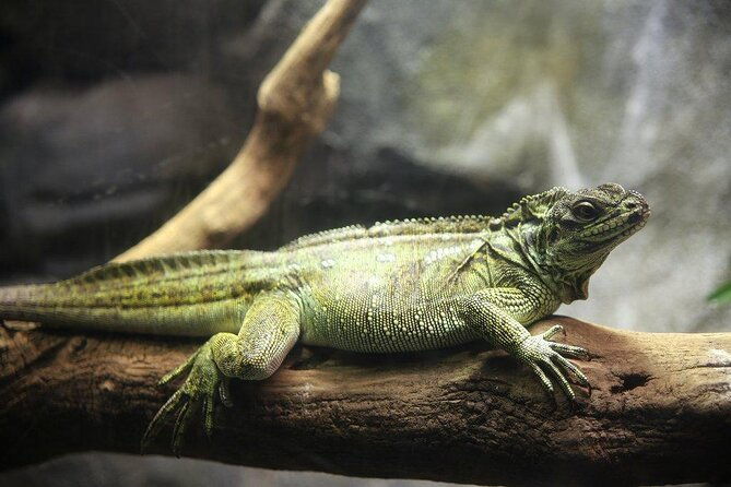 zaragoza-aquarium-admission-ticket