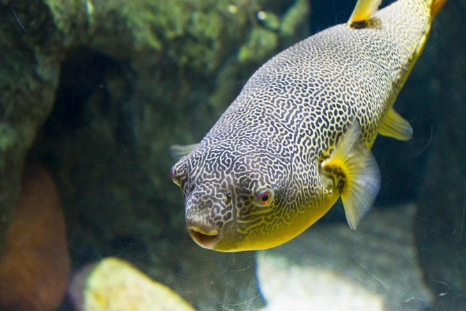 zaragoza-aquarium-admission-ticket