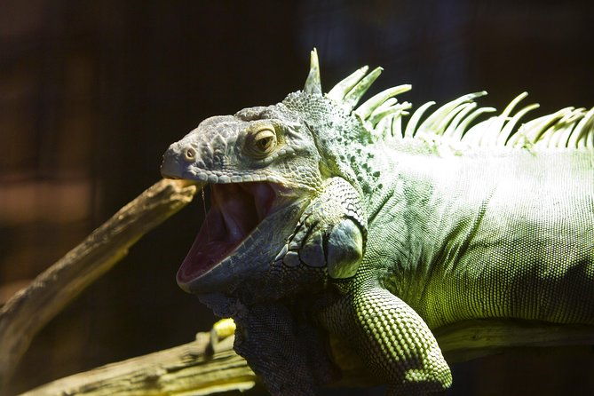 zaragoza-aquarium-admission-ticket