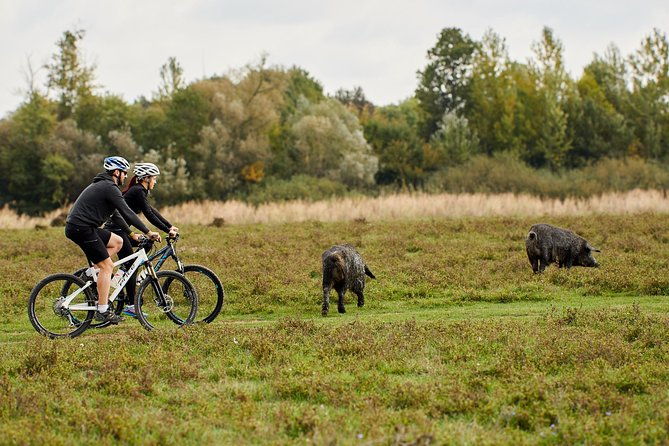 zasavica-bike-tour