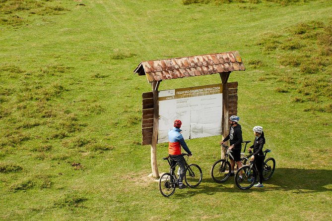 zasavica-bike-tour