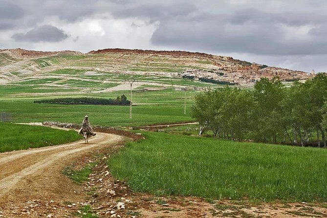 Zat Valley and Atlas Mountains Private Day Trip from Marrakech - The Practical Side: How It All Comes Together