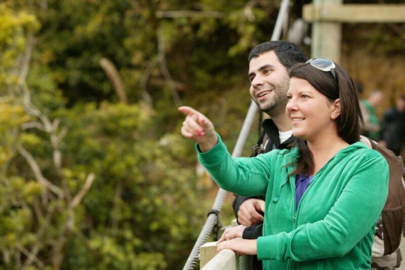 Zealandia by Day Tour - What Visitors Are Saying