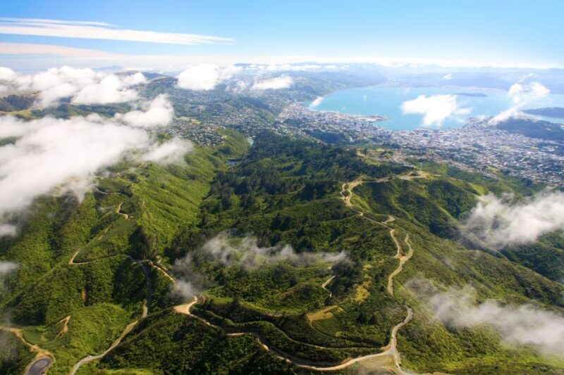 Zealandia by Day Tour - The Sum Up