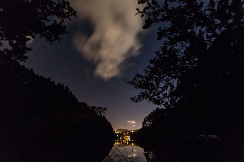 Zealandia by Night Tour - Discovering Zealandia by Night