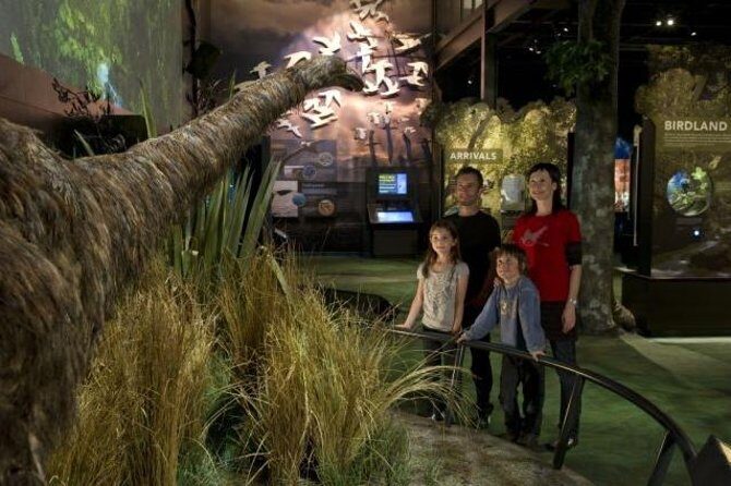 Zealandia Small Group Eco Wildlife Night Tour - Zealandia Small Group Eco Wildlife Night Tour Review