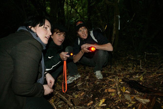 Zealandia Small Group Eco Wildlife Night Tour - Final Thoughts