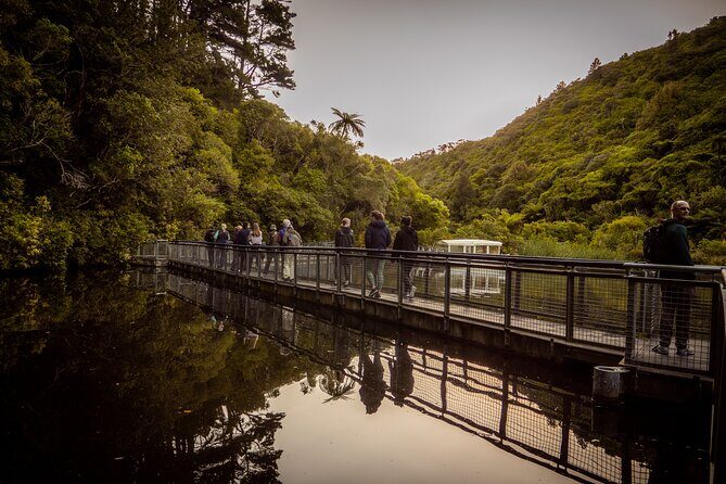Zealandia Small Group Eco Wildlife Night Tour - Additional Notes