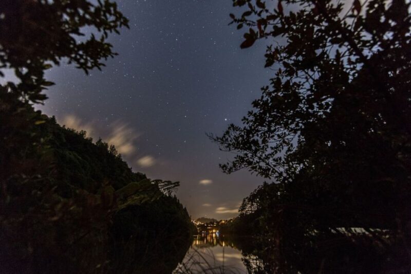 Zealandia Twilight Ecosanctuary Tour - The Experiences Highlights