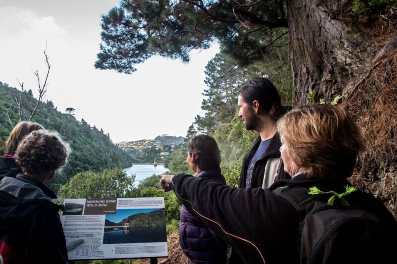 Zealandia Twilight Ecosanctuary Tour - The Sum Up