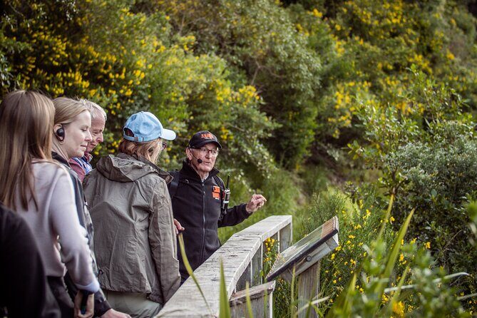 Zealandia - Twilight Guided Eco Wildlife Tour - FAQ