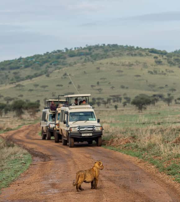 Zebra Plains budget safari tour - Key Points