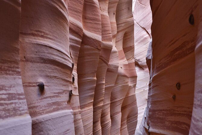 zebra-slot-canyon-hiking-tour-in-escalante