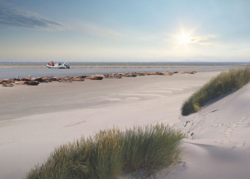 zeebrugge-seal-watching-boat-tour-with-glass-of-champagne