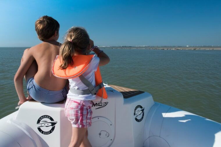 zeebrugge-seal-watching-boat-tour-with-glass-of-champagne