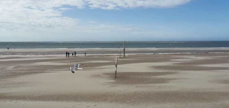 zeeland-beach-safari-with-fishing-net-nl