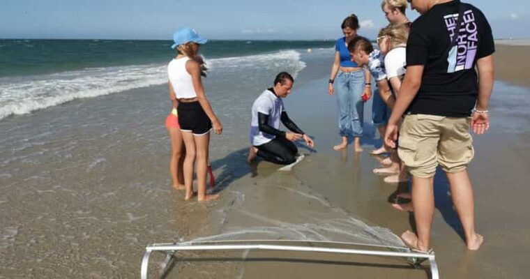 zeeland-beach-safari-with-fishing-net-nl