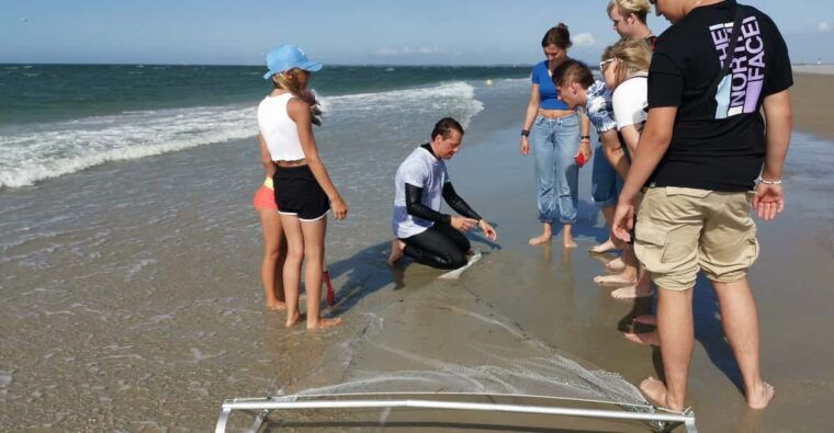 zeeland-beach-safari-with-fishing-net-nl