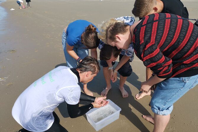 zeeland-beach-safari-with-fishnet-nl-de