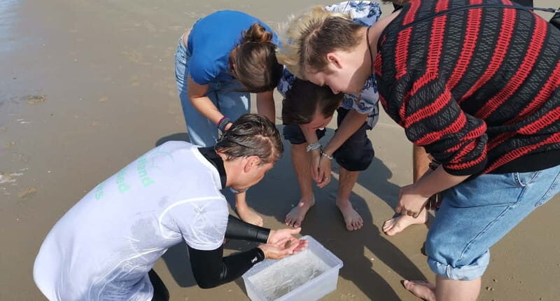 Zeeland Strand safari met visnet NL/DE - Authentic Experiences and Traveler Insights