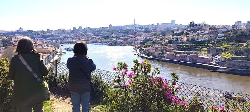 Zen Walking Tour Porto: Find Your Balance 2h - Zen Walking Tour Porto: Find Your Balance 2h — A Peaceful Way to Explore