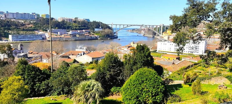 Zen Walking Tour Porto: Find Your Balance 2h - Why Choose This Tour?