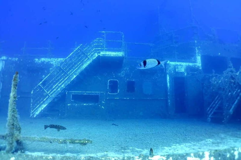 Zenobia Wreck: Private Guided Dive - A Detailed Look at the Zenobia Wreck Guided Tour