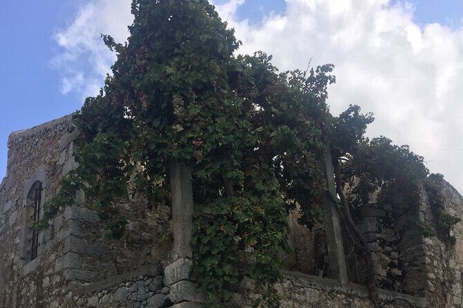 Zeuss Birthplace- Old Villages-Olive Oil Factory- Small Group - What to Expect from the Tour