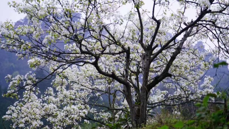 Zhangjiajie: Avatar Canyon Hike & Waterfall Tour - Who Will Love This Tour