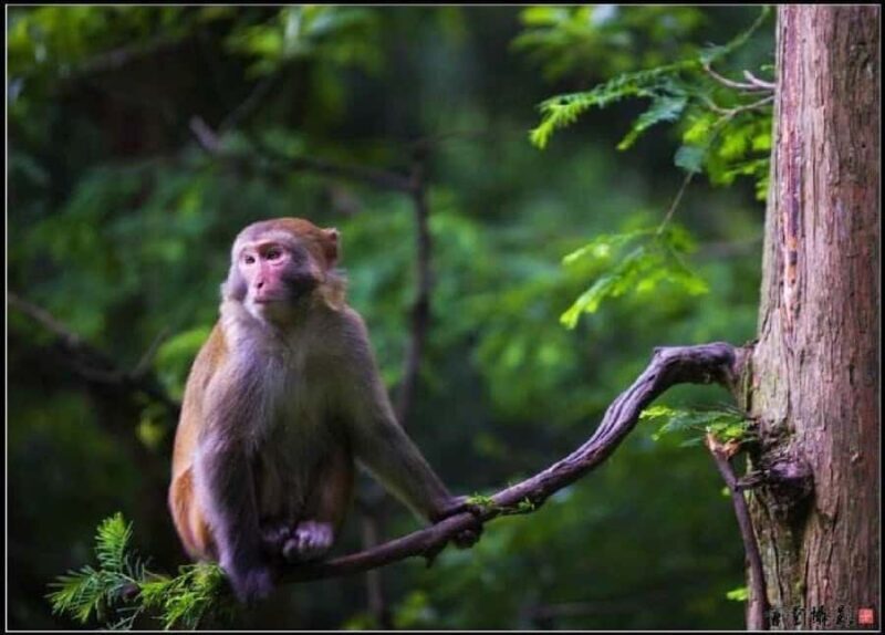 Zhangjiajie: Glass Bridge & Avatar Scenery Day - Key Points