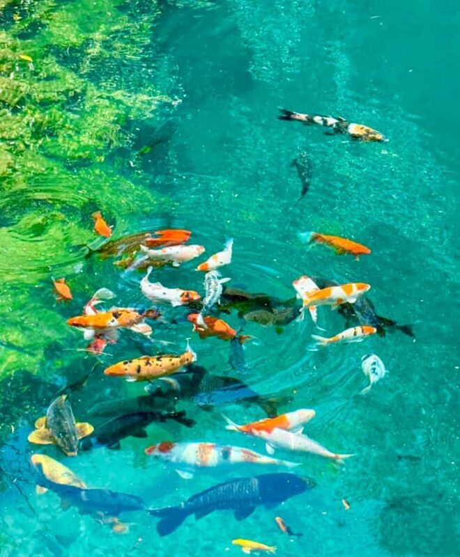 Zhangjiajie Grand Canyon & Xinmatou Night Market City Tour - Final Thoughts