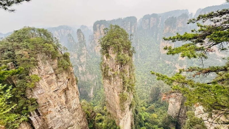 Zhangjiajie: National Forest Park 1-Day VIP Private Tour - What Makes This Tour Shine?