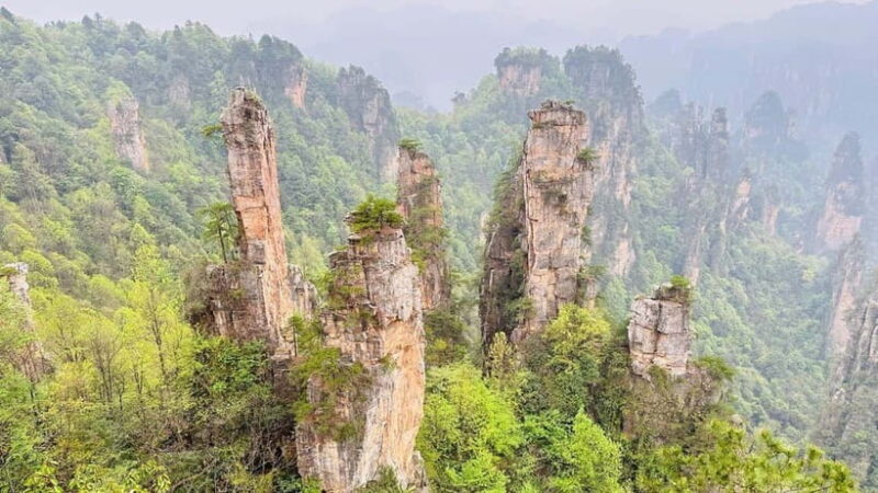 Zhangjiajie: National Forest Park 1-Day VIP Private Tour - The Value of VIP and Private Tours