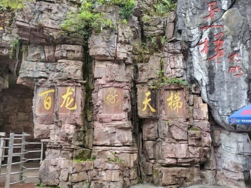 Zhangjiajie: National Forest Park 1-Day VIP Private Tour - Who Should Book This Tour?