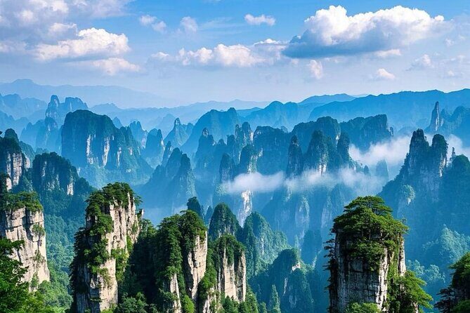 Zhangjiajie National Forest Park One-Day Tour - Key Points
