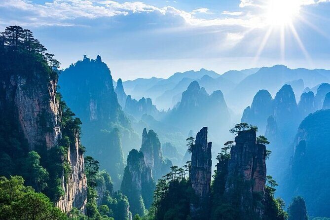 Zhangjiajie National Forest Park One-Day Tour - Practical Tips for the Tour