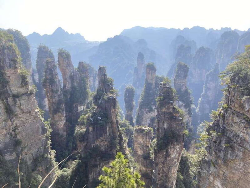 zhangjiajie-national-forest-park-private-tour-and-transport