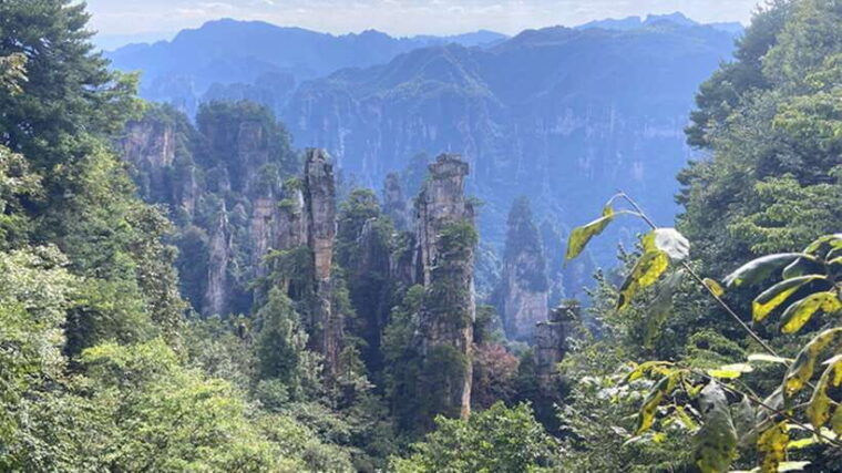 zhangjiajie-national-forest-park-private-tour-and-transport